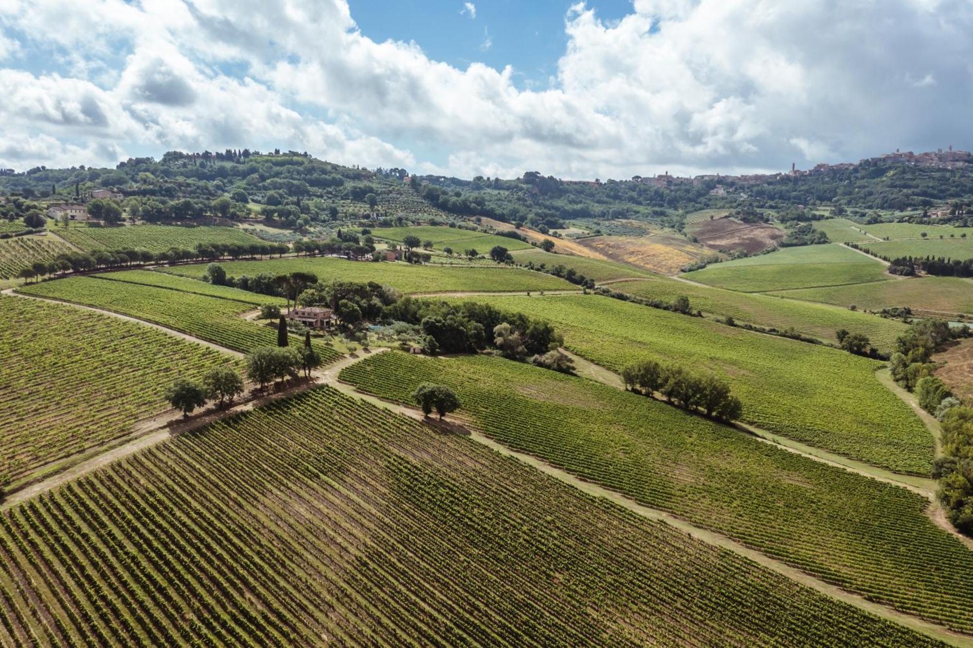 Montepulciano Stazione Villa Talosa מראה חיצוני תמונה